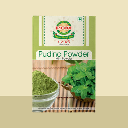 PCM Masale Pudina Powder 100g